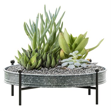 Panacea 16" Succulent Planter Tray Galvanized
