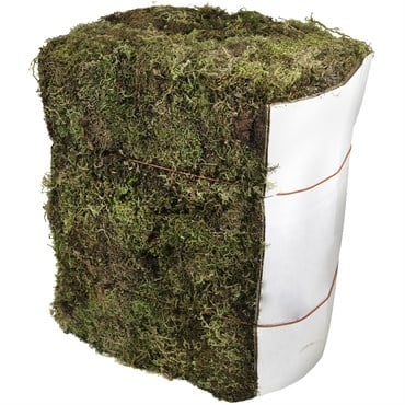 SuperMoss 25