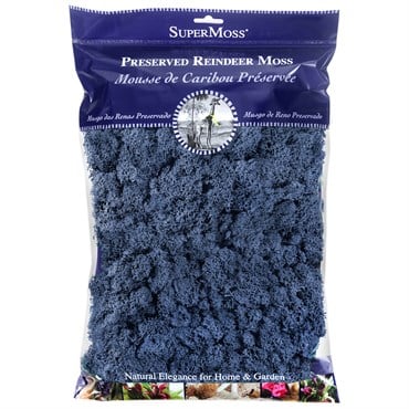 SuperMoss 4oz Reindeer Moss Blue