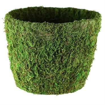 SSI 9" Agatha Planter Green Moss