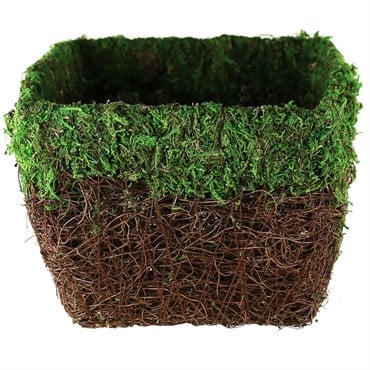 SSI 7-1/2"x7-1/2" Maya Planter Green Moss