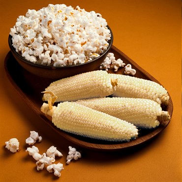 Popcorn, Perdue 305 White - 1lb