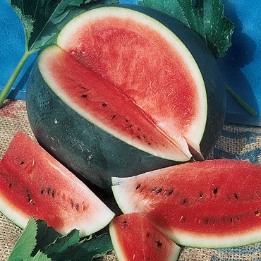 WATERMELON BLACK DIAMOND 1/2LB EACH