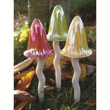 Potting Shed 3pc Toadstool Golden Boxed