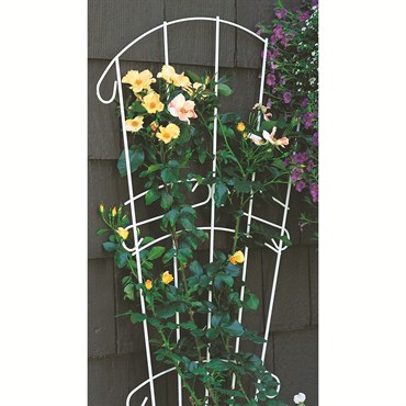 Panacea 28"x60" White Fan Trellis