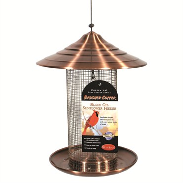Audubon Woodlink Coppertop Sunflower Tube Feeder