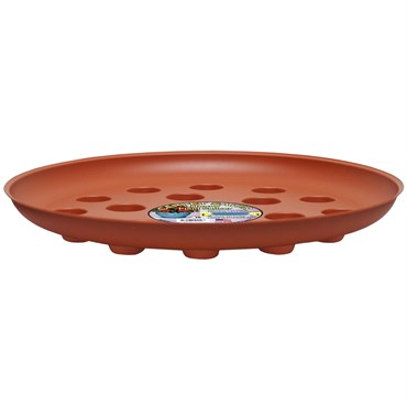 CWP 16" Terracotta Carpet Saver Saucer