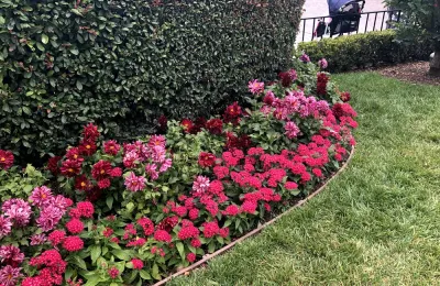 Landscaping Enhancements — Landscape Maintenance project by EnviroPro Land LLC