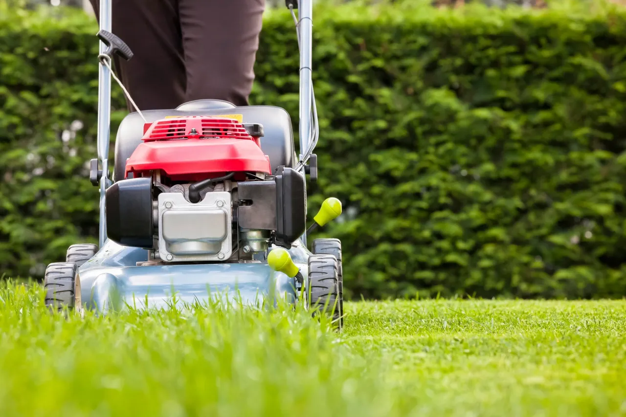 Lawn Care - Photo 2