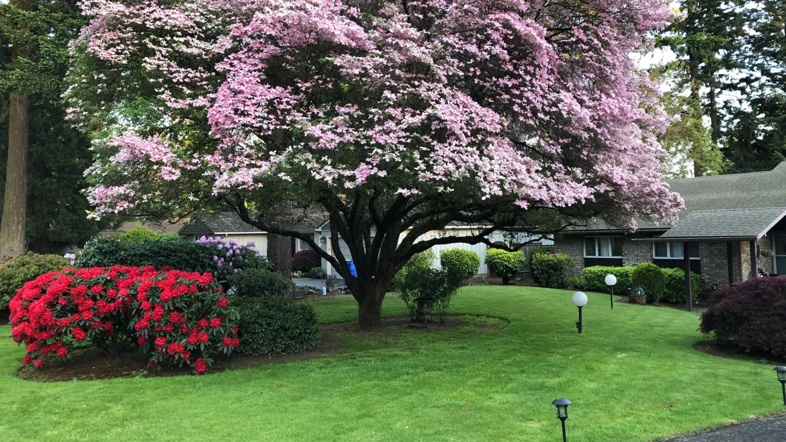 EnviroPro Land LLC - Photo 2