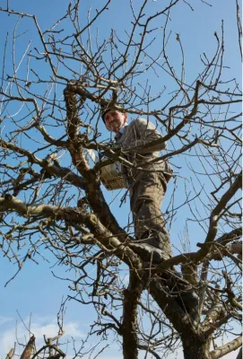 Gonzalez Landscape Services - Irrigation System Repair in Garden Grove, CA