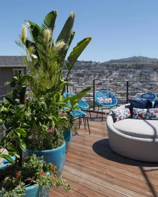 Madrono Landscape Design Studio - Landscape Construction in San Francisco, CA