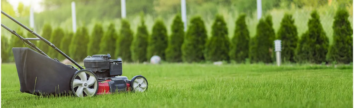 Lawn Care - Photo 5