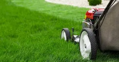 Lawn Care - Lawn Care & Mowing in Tuscaloosa, AL