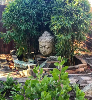Madrono Landscape Design Studio - Landscape Construction in San Francisco, CA