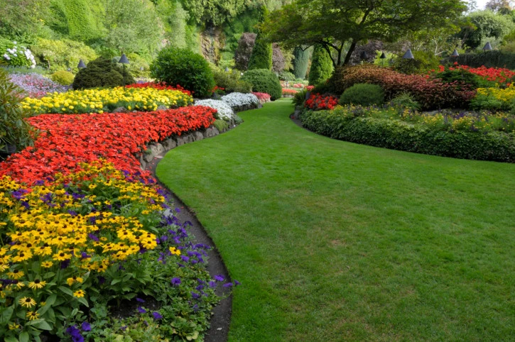 Flower Fever by Chakur Design Group, LLC - Photo 4