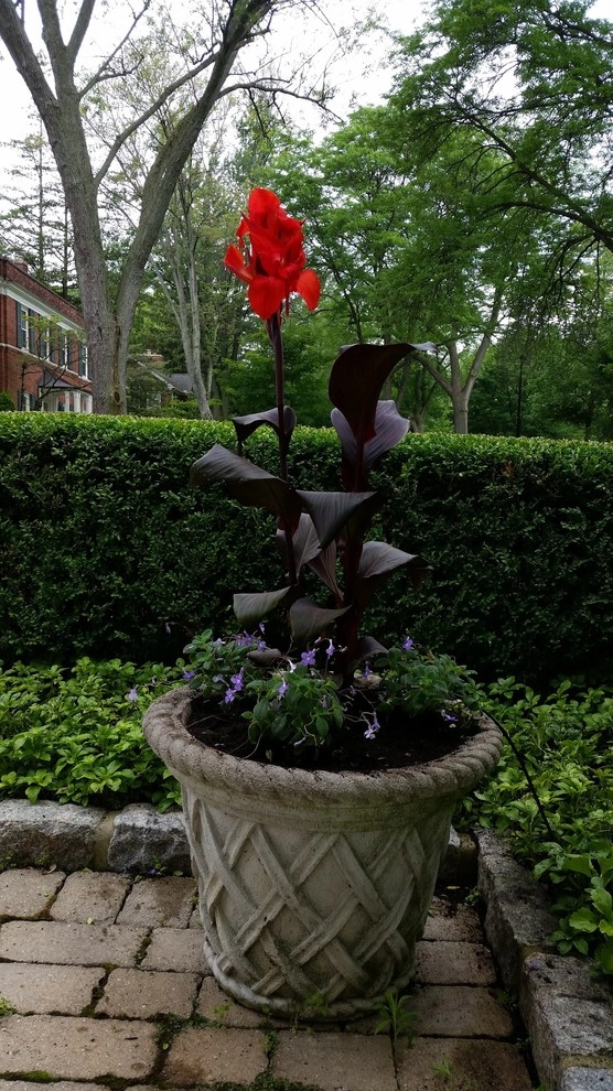 Container Gardens by A Southern Gardener - Photo 26