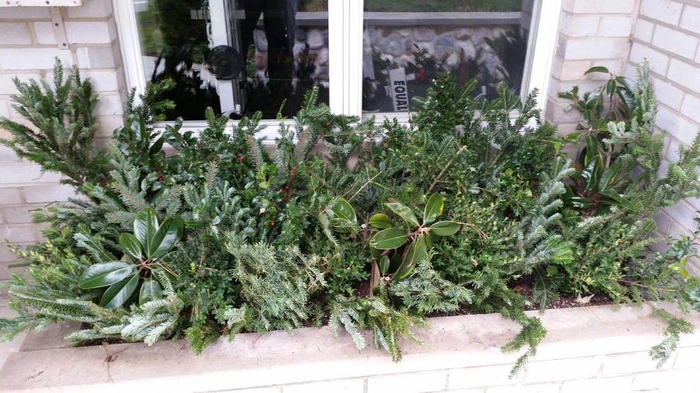 Winter Container Arrangements by A Southern Gardener - Photo 7