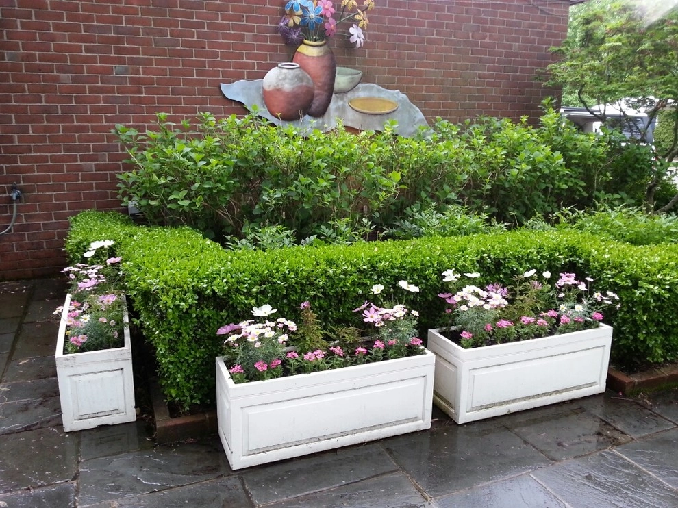 Container Gardens by A Southern Gardener - Photo 4