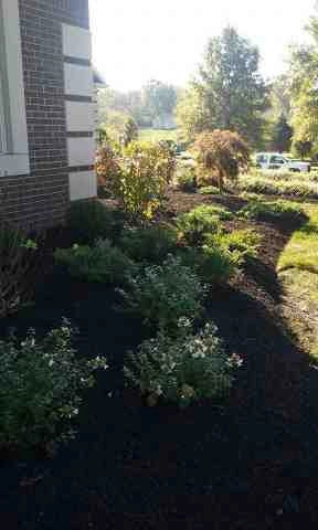 Alberto Alavez Professional Lawn Services LLC 4 by Alberto Alavez Professional Lawn Services LLC - Photo 66