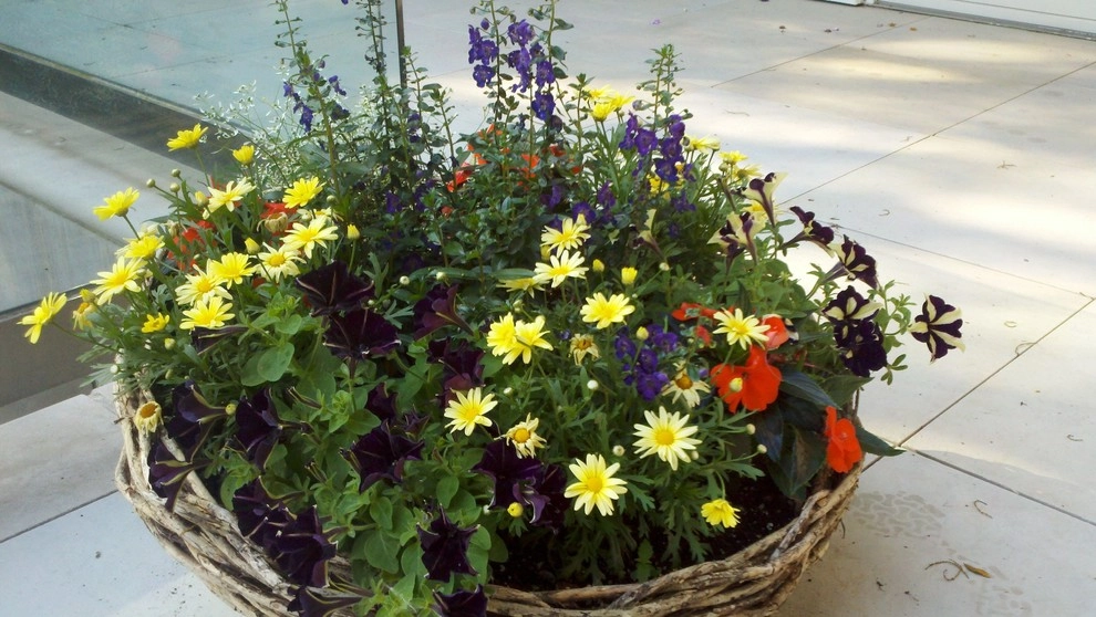 Container Gardens by A Southern Gardener - Photo 8