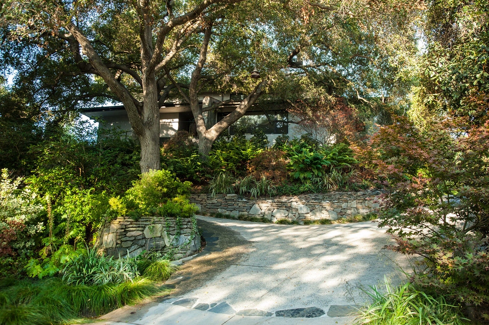 Gabriela Yariv Landscape Design - Photo 3