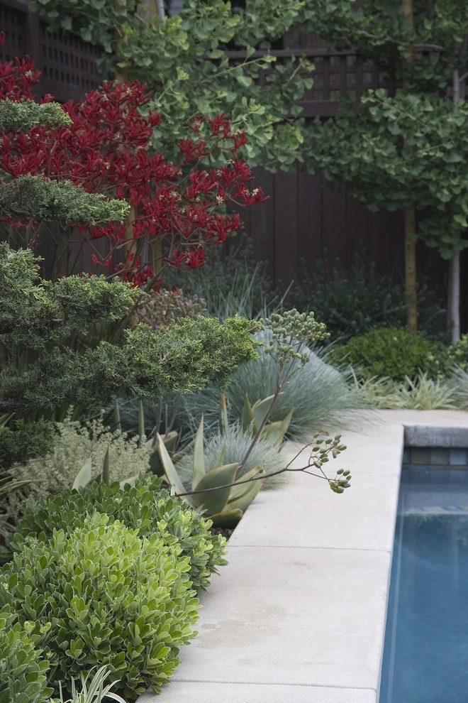 Craftsman Bungalow by Gabriela Yariv Landscape Design - Photo 6