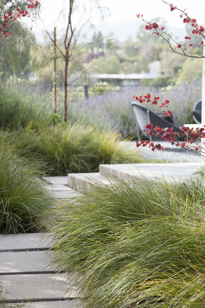 Palisades Bluff Contemporary by Gabriela Yariv Landscape Design - Photo 7