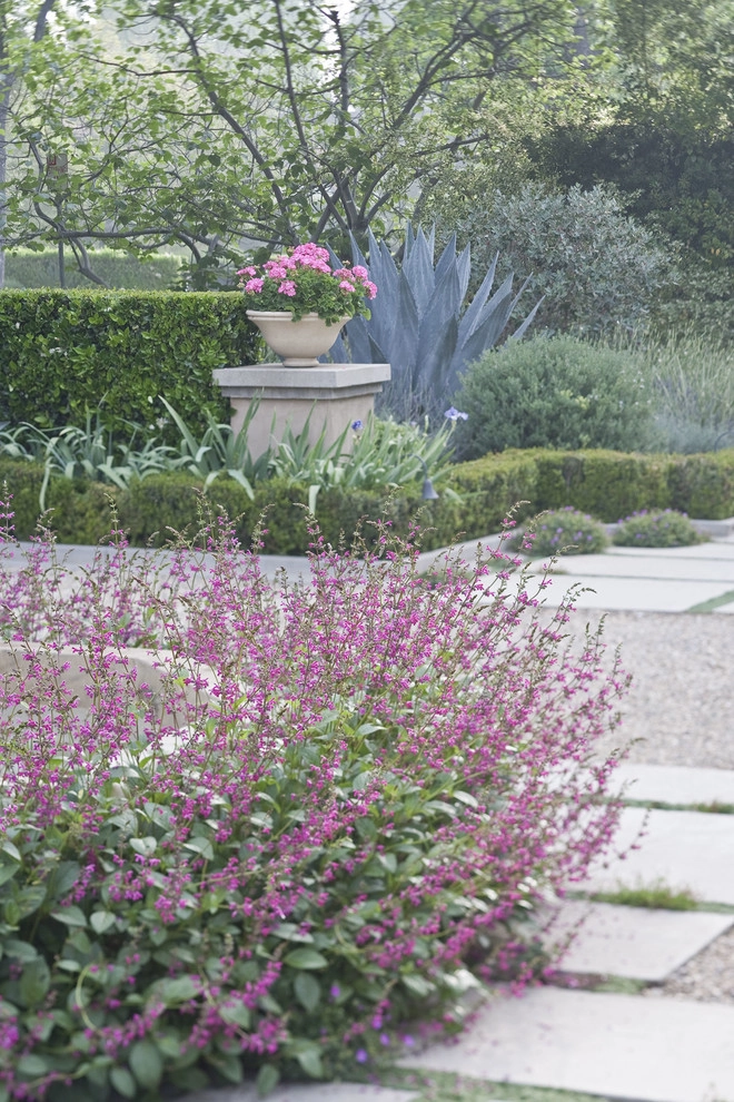 Sylvanus Marston Mediterranean by Gabriela Yariv Landscape Design - Photo 2