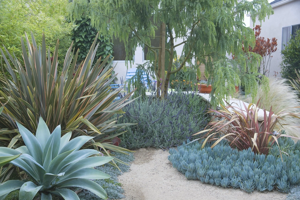 Whimsical Garden, Santa Monica by Gabriela Yariv Landscape Design - Photo 2