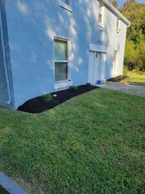 Alberto Alavez Professional Lawn Services LLC 4 by Alberto Alavez Professional Lawn Services LLC - Photo 164