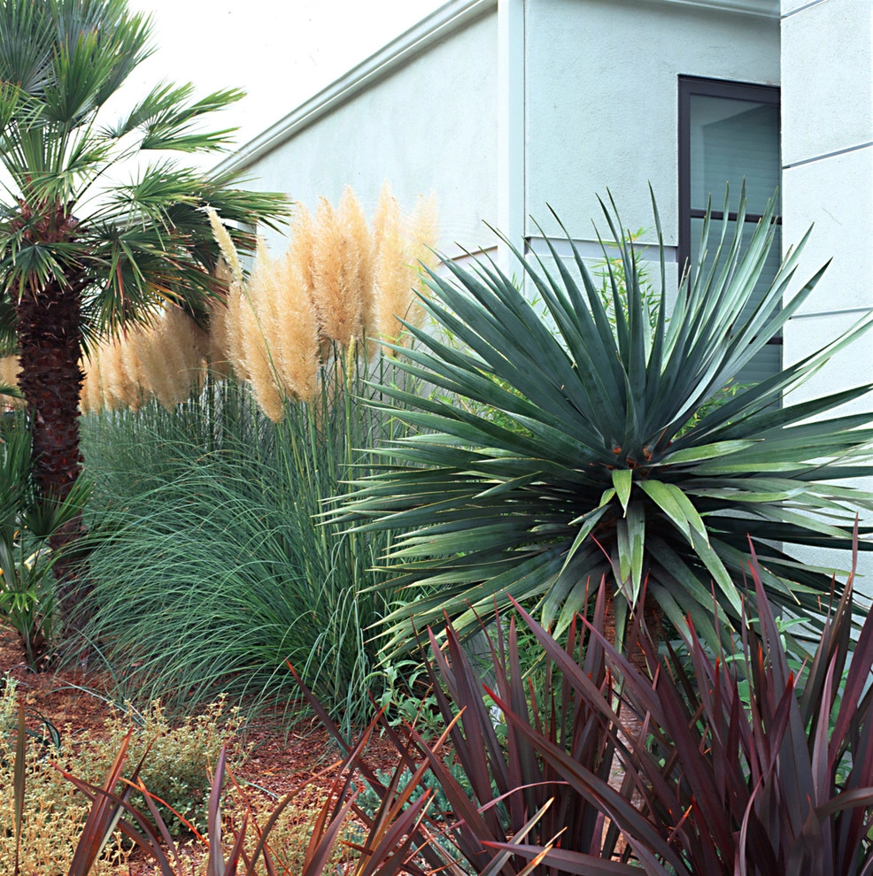 Bel Air Contemporary by Gabriela Yariv Landscape Design - Photo 3
