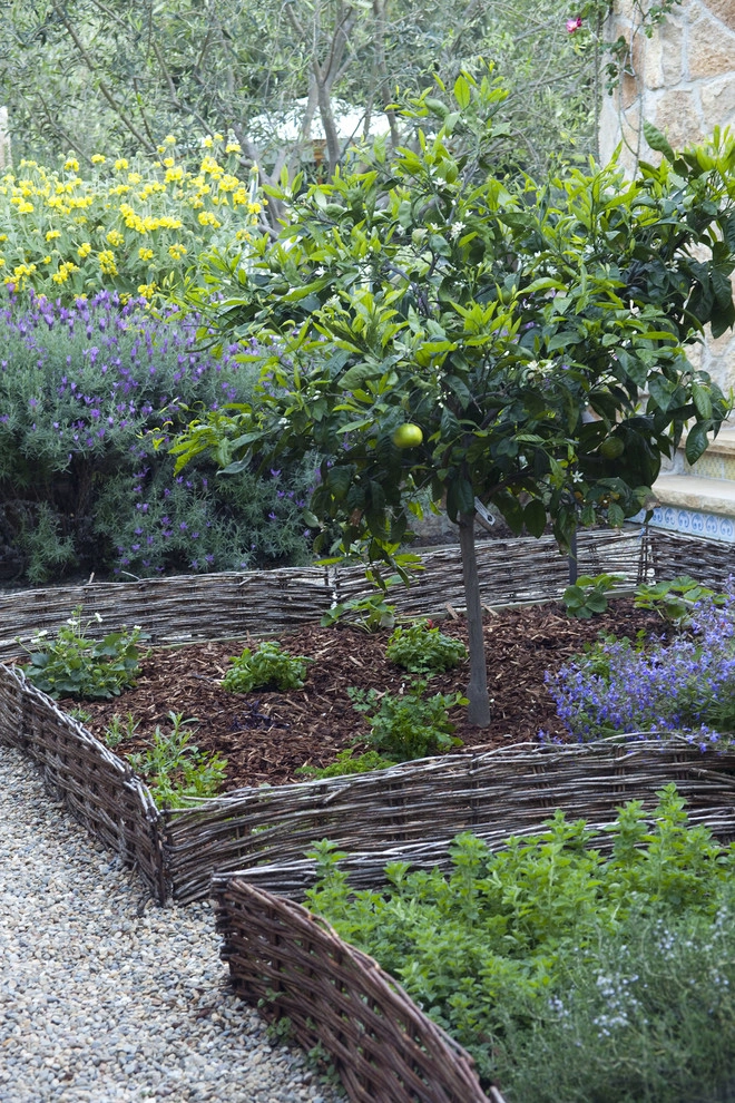 South Bay Provençal by Gabriela Yariv Landscape Design - Photo 3