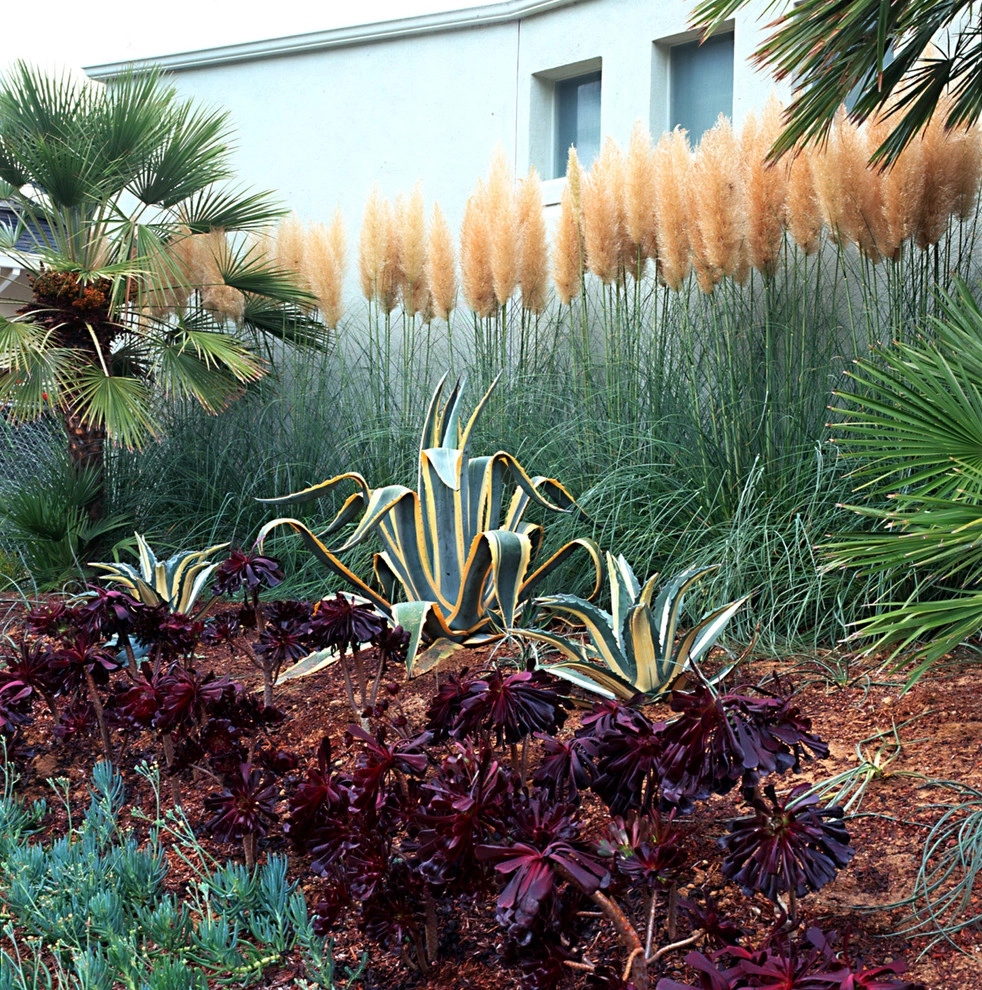 Bel Air Contemporary by Gabriela Yariv Landscape Design - Photo 2