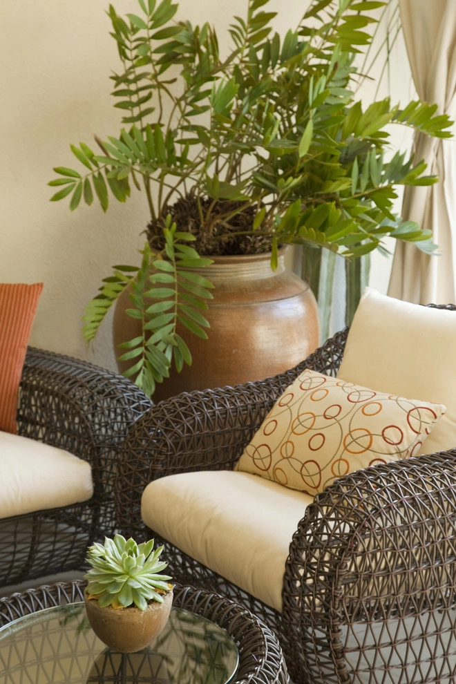 Mid-Century Modern; An Ode to Frey by Gabriela Yariv Landscape Design - Photo 4