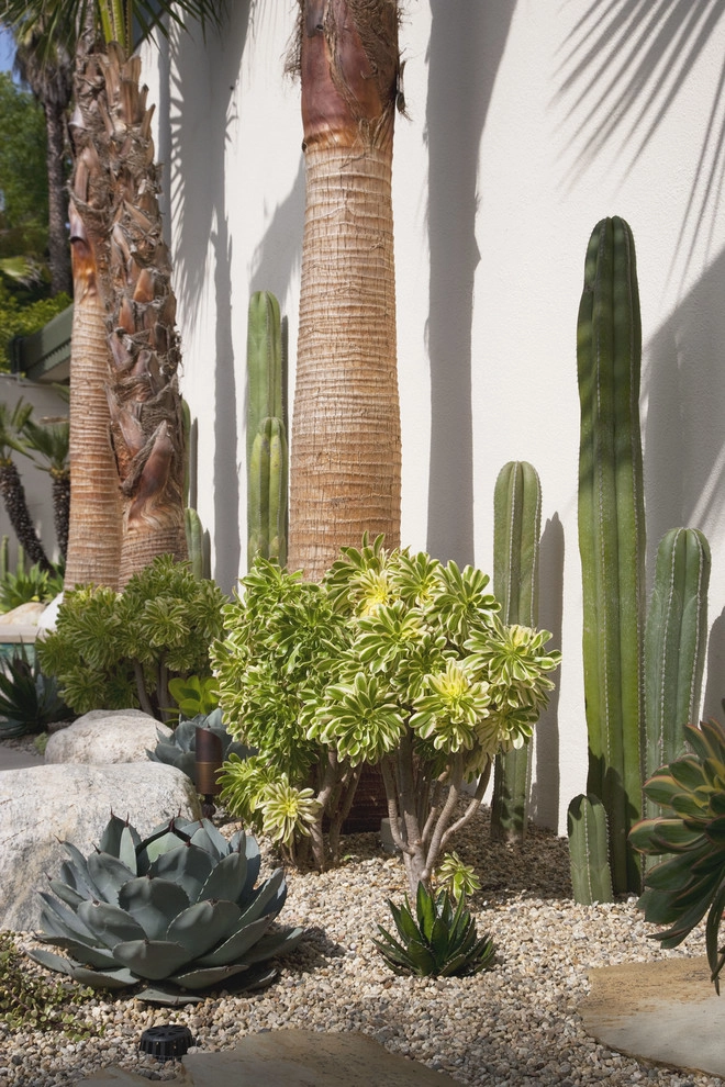Mid-Century Modern; An Ode to Frey by Gabriela Yariv Landscape Design - Photo 5