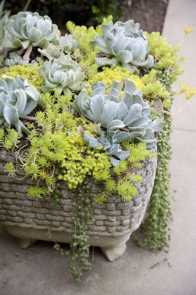 English Traditional by Gabriela Yariv Landscape Design - Photo 6