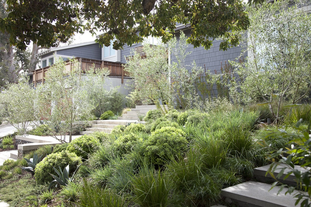 Palisades Bluff Contemporary by Gabriela Yariv Landscape Design - Photo 3