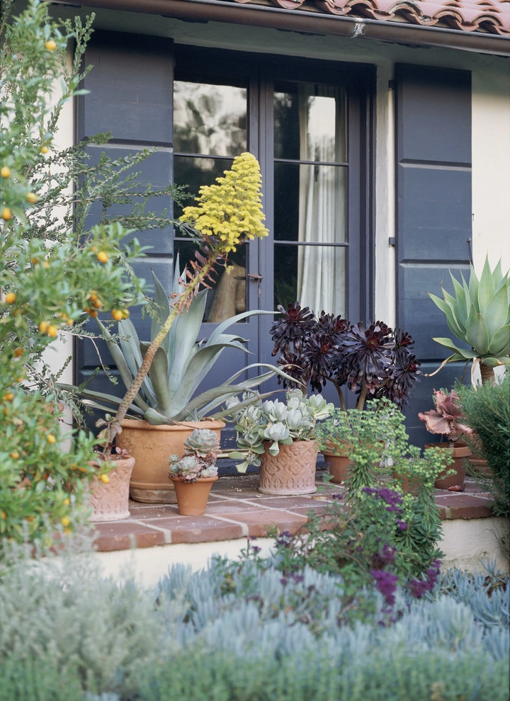 Spanish Colonial Revival Estate by Gabriela Yariv Landscape Design - Photo 9