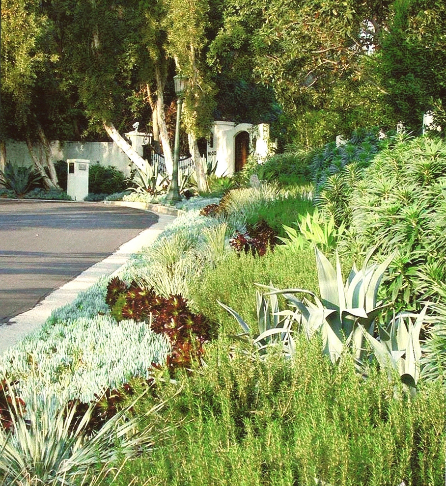 Spanish Colonial Revival Estate by Gabriela Yariv Landscape Design - Photo 4