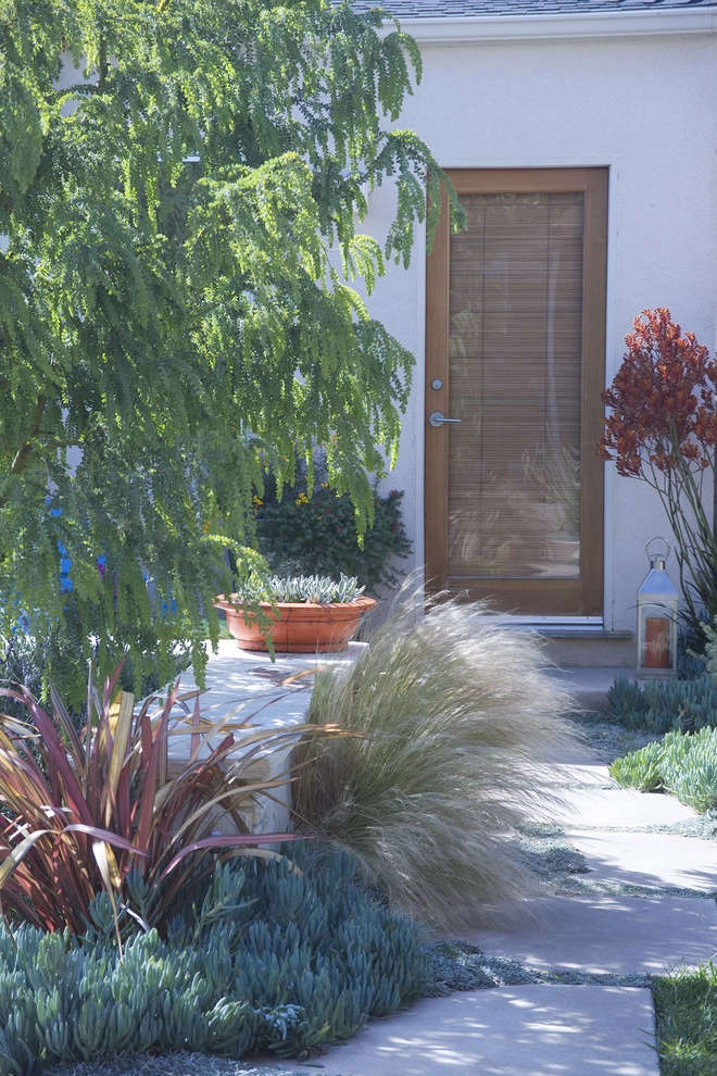 Whimsical Garden, Santa Monica by Gabriela Yariv Landscape Design - Photo 8