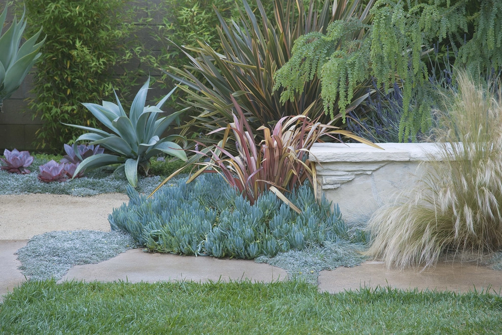 Whimsical Garden, Santa Monica by Gabriela Yariv Landscape Design - Photo 3