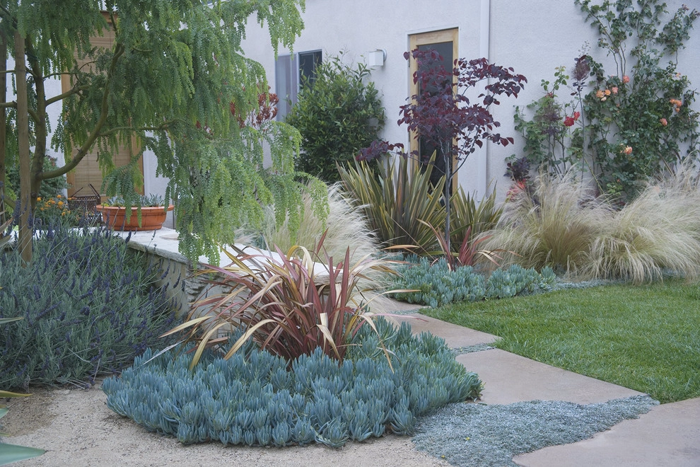Whimsical Garden, Santa Monica by Gabriela Yariv Landscape Design - Photo 9