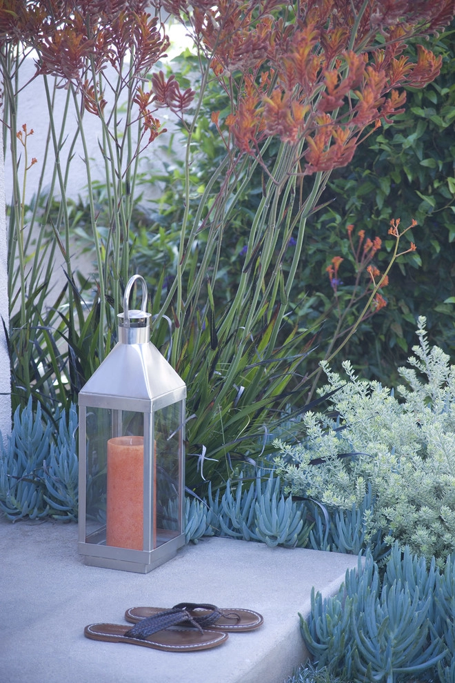Whimsical Garden, Santa Monica by Gabriela Yariv Landscape Design - Photo 4