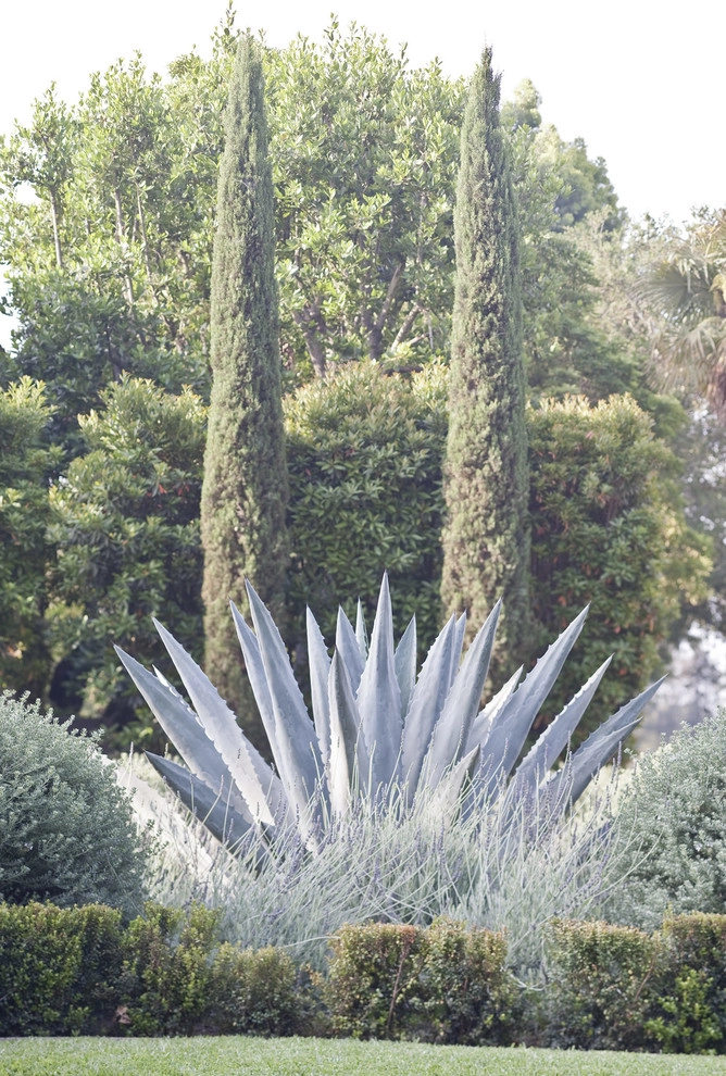 Sylvanus Marston Mediterranean by Gabriela Yariv Landscape Design - Photo 6