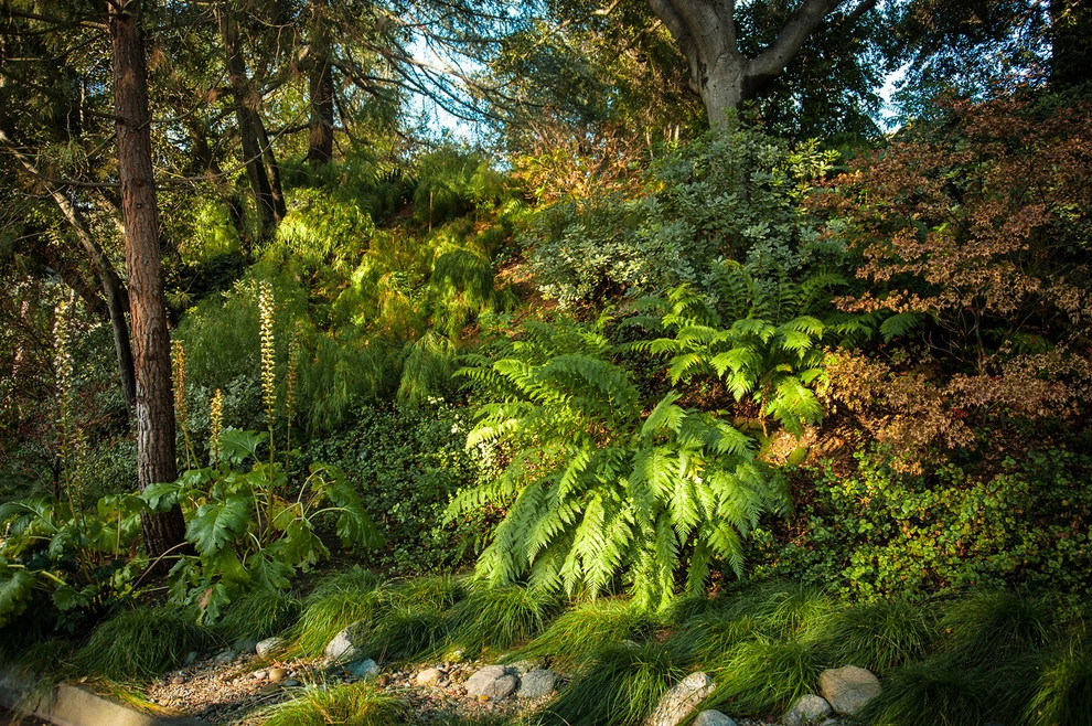 Woodland Contemporary by Gabriela Yariv Landscape Design - Photo 6