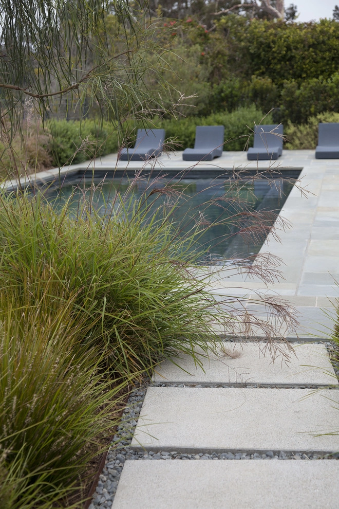 Palisades Bluff Contemporary by Gabriela Yariv Landscape Design - Photo 4