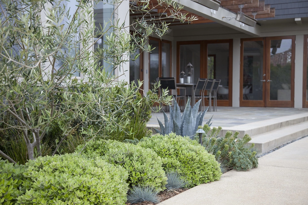 Palisades Bluff Contemporary by Gabriela Yariv Landscape Design - Photo 6