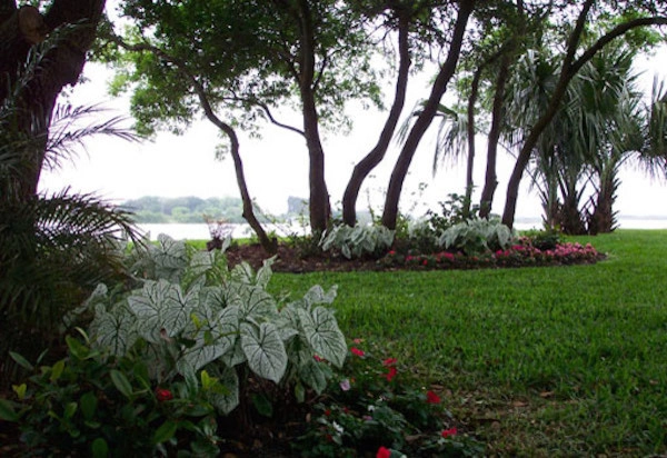 Galveston Landscape Designs by Gail Hartz & Associates - Photo 8