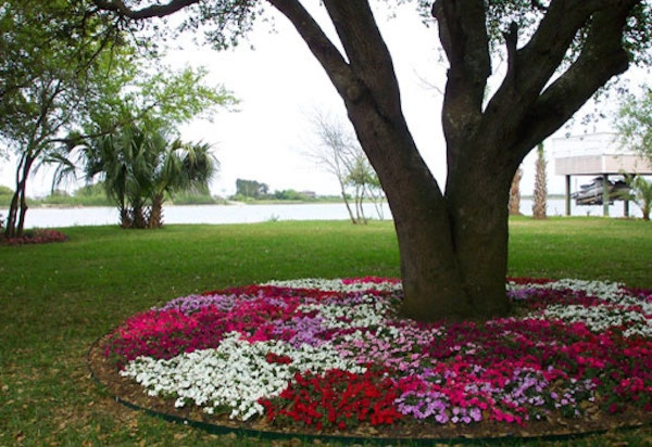 Galveston Landscape Designs by Gail Hartz & Associates - Photo 5